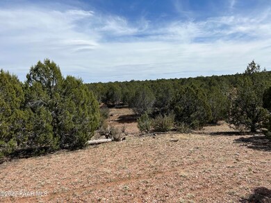12 Lots A&c Off of Keller Place, Ash Fork, AZ 86320 - photo 3