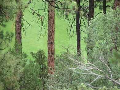 Tall Pines Golf Course