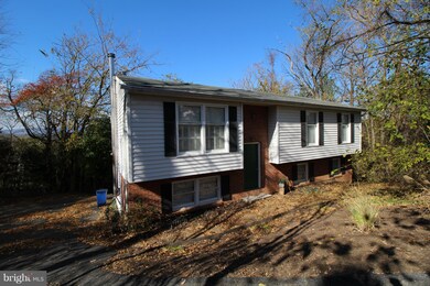 305 W Fairchild Dr, Strasburg, VA 22657 - photo 3