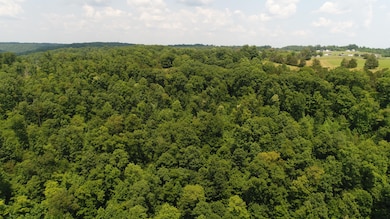 13000 Highway 192, Somerset, KY 42501 - photo 6