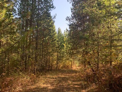 Nhn Whitepine Ln, Trout Creek, MT 59874 - photo 5