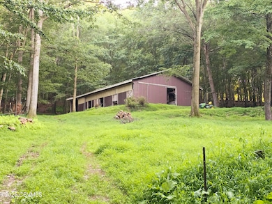 517 Ridge Rd Nescopeck - pic10