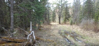 0 Fleury Rd unit 4648053, Hyde Park, VT 05655 - photo 3