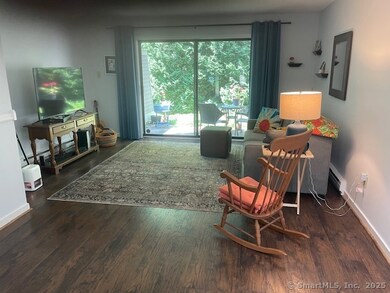 45 Riveredge Dr unit 45, Winsted, CT 06098 - photo 3