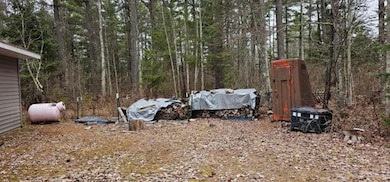 2586W Bearskull Rd, Sherman, WI 54552 - photo 6