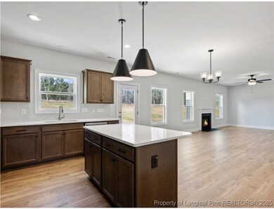 459 Pinnacle Ct, Five Points, NC 28376 - photo 2