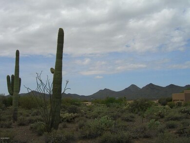 PHOTO #11