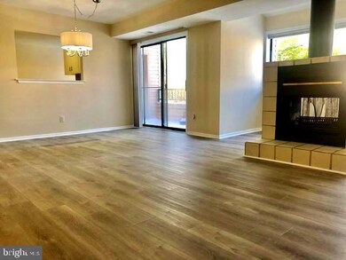 8017 Valley Manor Rd unit 3A, Owings Mills, MD 21117 - photo 2