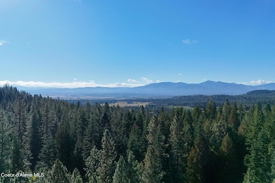 Drone View 1