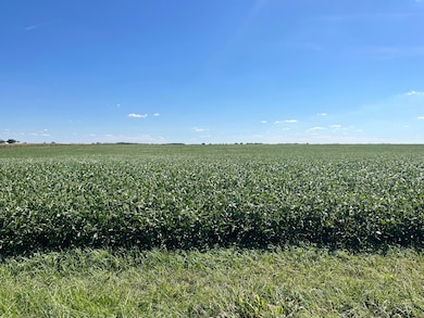 9407 Jordan Rd, Argenta, IL 62501 - photo 7