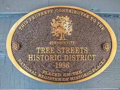 310 W Locust St, Johnson City, TN 37604 - photo 2