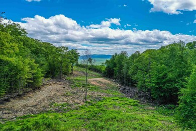 0 Meadow Rd unit Lot 50 4864298, Newbury, NH 03255 - photo 3