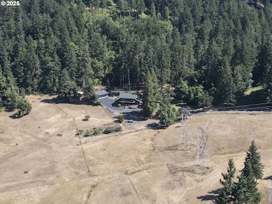 36589 Alder Branch Rd, Springfield, OR 97478 - photo 3