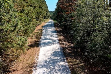 181 Riversong Rd unit 55, Carrollton, GA 30117 - photo 4