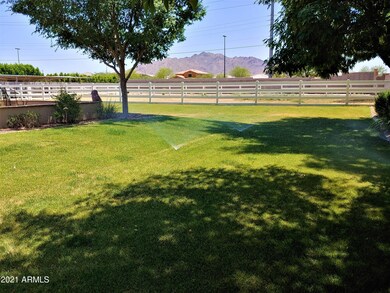 Backyard_2