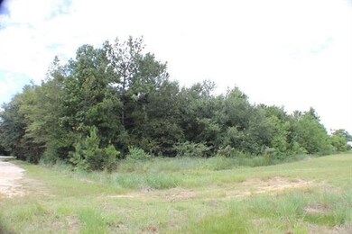 0 Frank Pichon Rd, Slidell, LA 70458 - photo 3