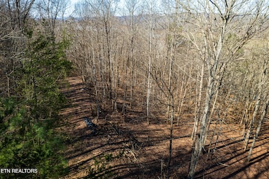 0 S Cove Rd unit 1293679, Maynardville, TN 37807 - photo 7