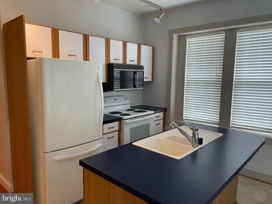 420 W 22nd St unit 1, Wilmington, DE 19802 - photo 3