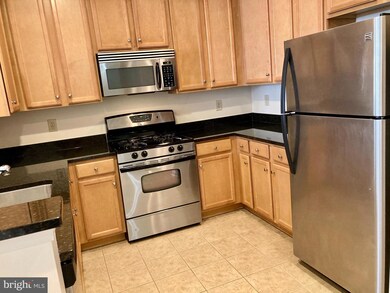 Halstead at The Metro unit 244, Fairfax, VA 22031 - photo 5