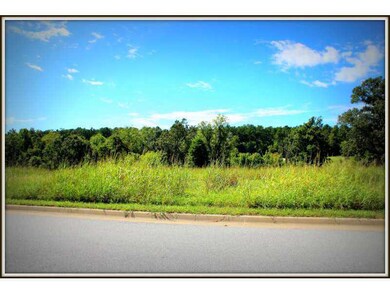 20988 Double Tree Crossing, Springdale, AR 72762 - photo 3