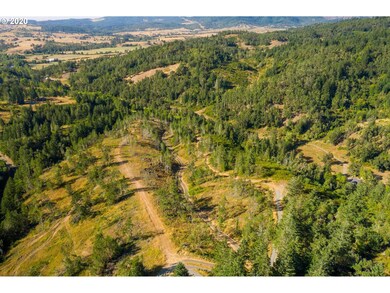 1393 Old Pioneer Rd, Oakland, OR 97462 - photo 3