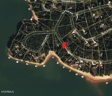 20210304194836214787000000-o