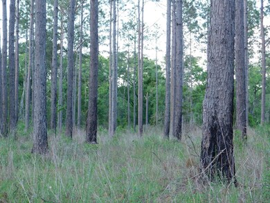 00 Hurst Tate Rd, Meigs, GA 31765 - photo 2