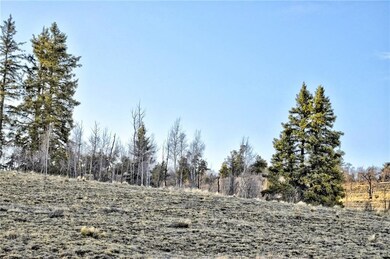 6206 Remington Rd, Como, CO 80432 - photo 7