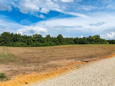 Parcel A J Runnels Rd, Petal, MS 39465 - photo 6