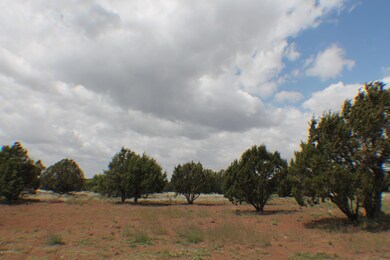 Parcel B Bourdon Ranch Rd, Show Low, AZ 85901 - photo 7