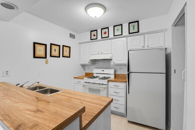 150 E Fountainview Ln unit 3B, Lombard, IL 60148 - photo 2