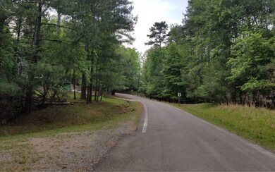 Additional View