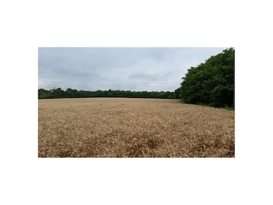 20070 S Lone Elm Rd, Spring Hill, KS 66083 - photo 7