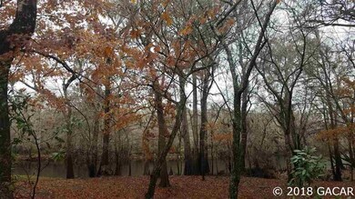 10729 NE 28th Ave, Branford, FL 32008 - photo 5