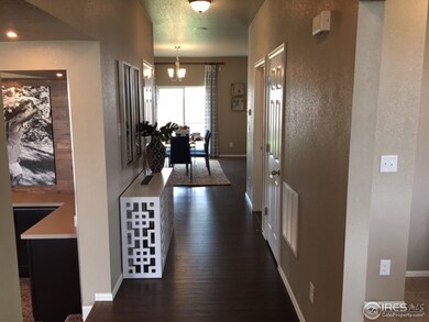 6840 Covenant Ct, Timnath, CO 80547 - photo 6