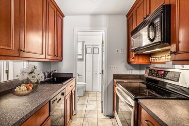 37 E Springfield St unit 2, Boston, MA 02118 - photo 7