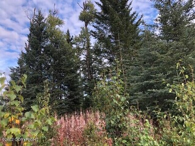 L1-4,L6-21 Gateway Rd, Anchor Point, AK 99556 - photo 2