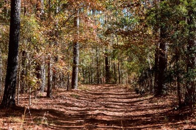 0 Anderson Rd unit 25641559, Statesboro, GA 30458 - photo 5