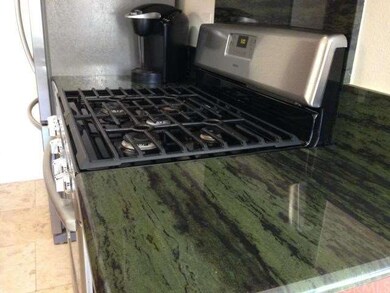 Elegant Bamboo Verde granite countertops and backs