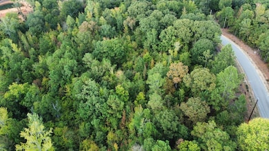 Tract D Lee Road 345, Salem, AL 36874 - photo 3