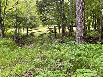 811 Pondfield Rd, Gaffney, SC 29340 - photo 2