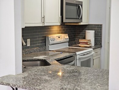 29 Custer St unit 205, Jamaica Plain, MA 02130 - photo 6