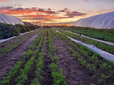 7545 Log Rd, Peyton, CO 80831 - photo 6