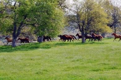 46565 Dry Creek Dr, Badger, CA 93603 - photo 4