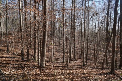 0 Alabama 187, Hodges, AL 35571 - photo 3