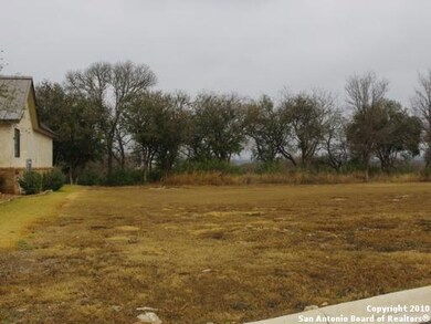 1317 Gruene Leaf Dr, New Braunfels, TX 78130 - photo 2