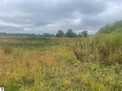 TBD E Denver Rd, Rosebush, MI 48622 - photo 2