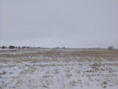 31346 S Klemme Rd, Beecher, IL 60401 - photo 3