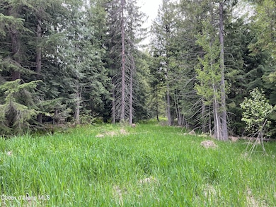 NNA High Meadow Dr, Priest River, ID 83856 - photo 2