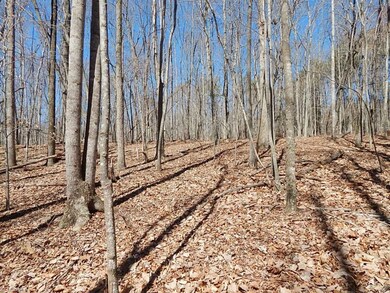 0 Deer Tracks Ln unit 750781, Misc., NC 27022 - photo 6
